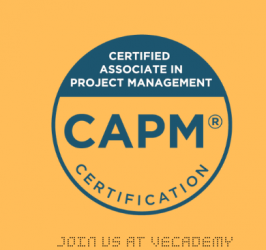 Associé Certifié en Gestion de Projet (CAPM)