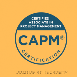 Associé Certifié en Gestion de Projet (CAPM)