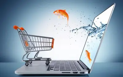 E-commerce – Wix