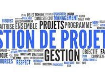 DIPLÔME EN GESTION DES PROJETS